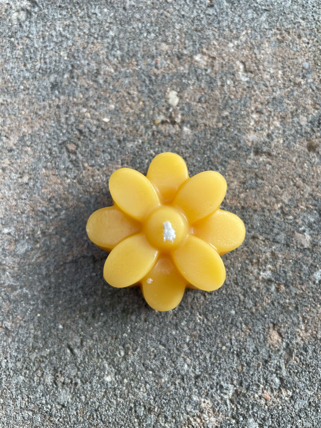 Candle: Floating Daisy