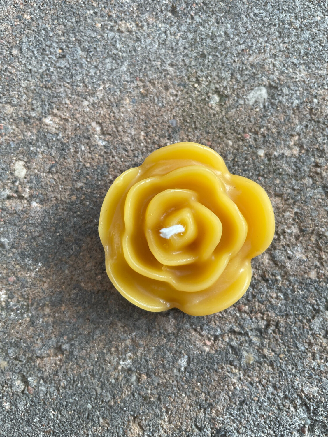 Candle: Floating Rose