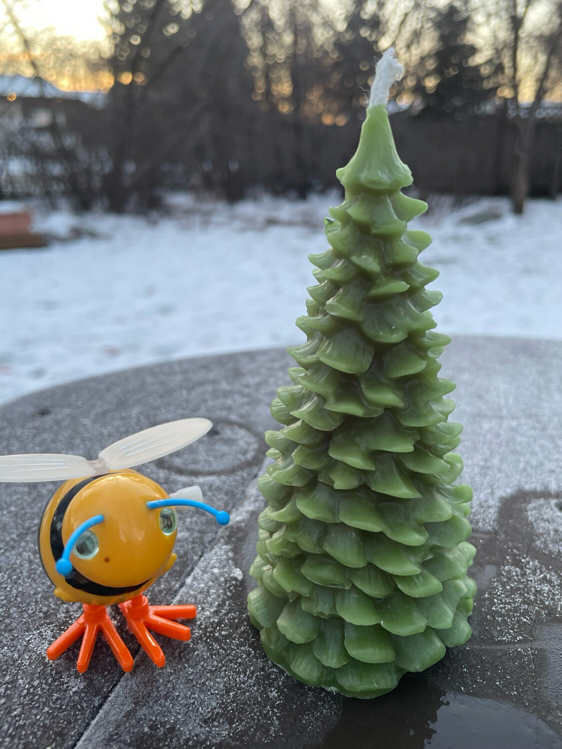 Candle: Tree - Pine Scallop Med