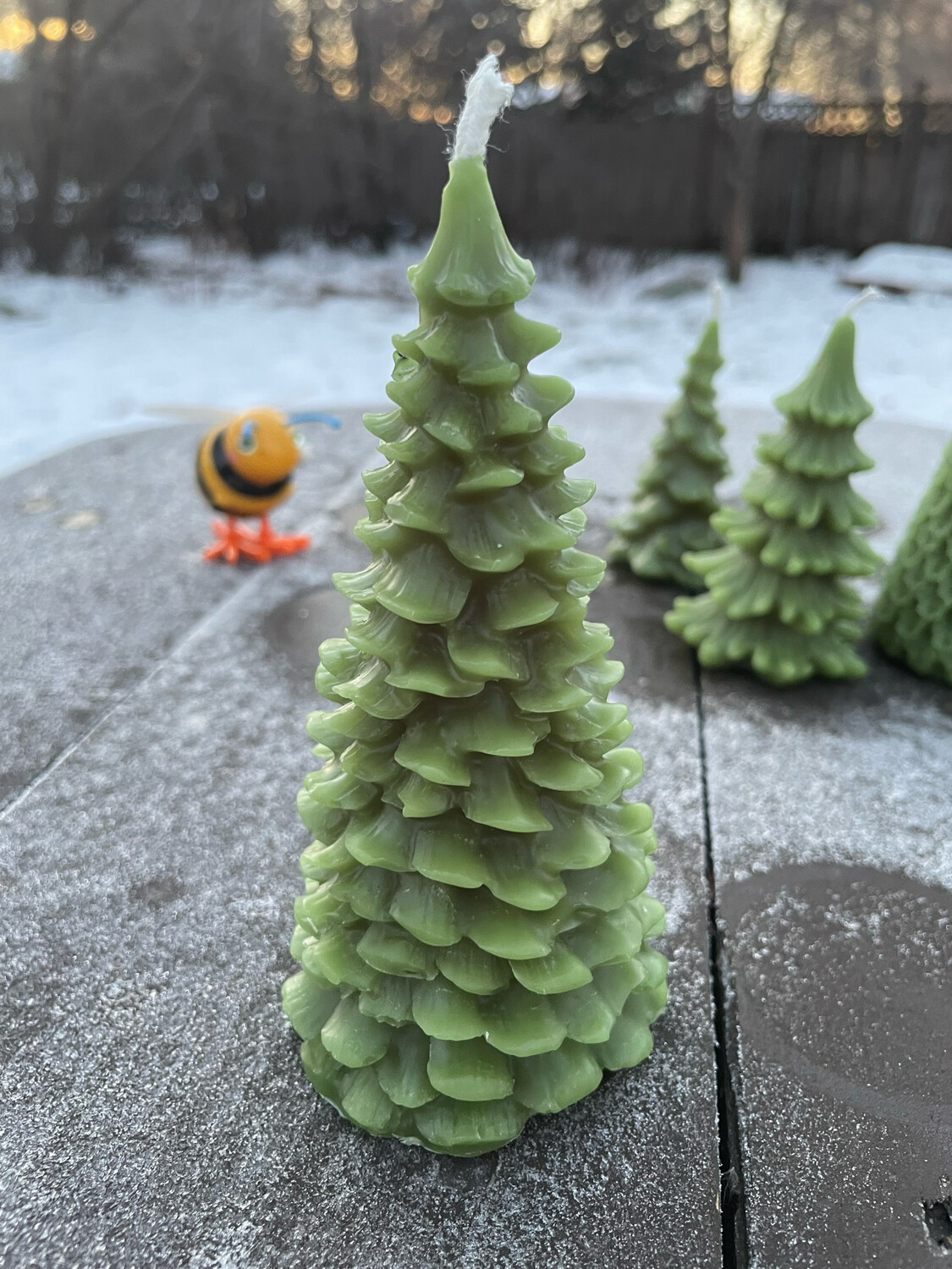 Candle: Tree - Pine Scallop Med