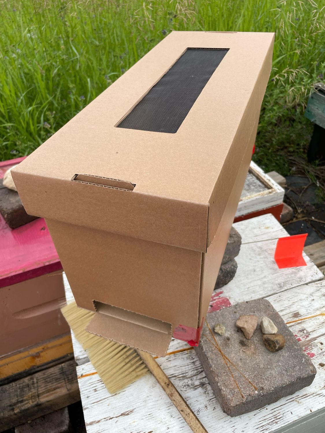 BEEKEEPING Supplies: NUC (Nuclear) Colony of BEES - four frames, in a cardboard nuc box. If You Have Never Owned Bees, Please CALL Me Before Placing Your Order. PICKUP ONLY