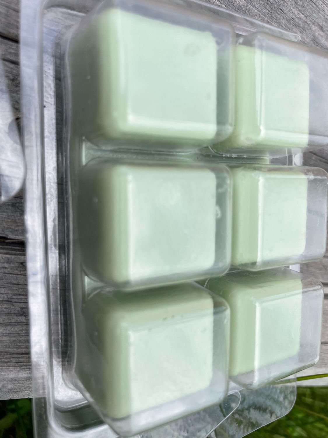BEESWAX MELTS Salty Sea