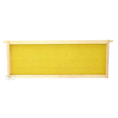 BEEKEEPING Supplies: Medium Honey Super Box with 9 Frames (NEW)