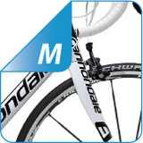 Medium