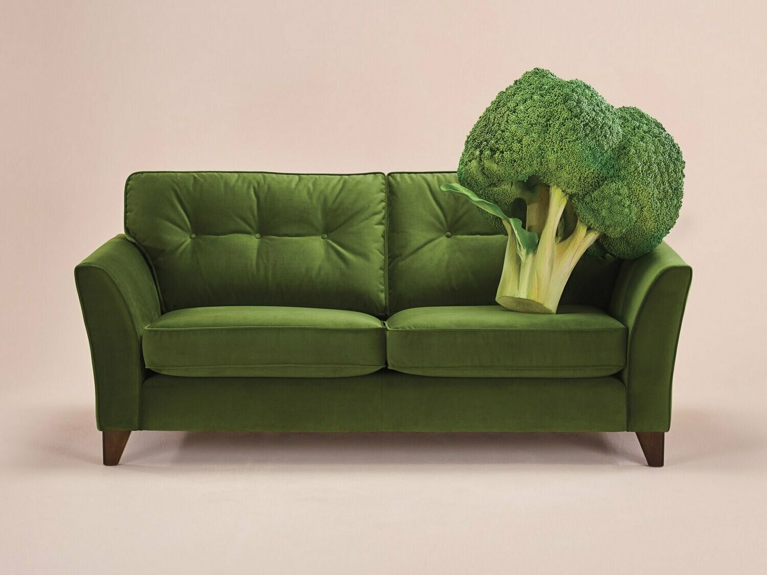 The Lounge Co. Melody Sofa | David Phipp Furniture Store