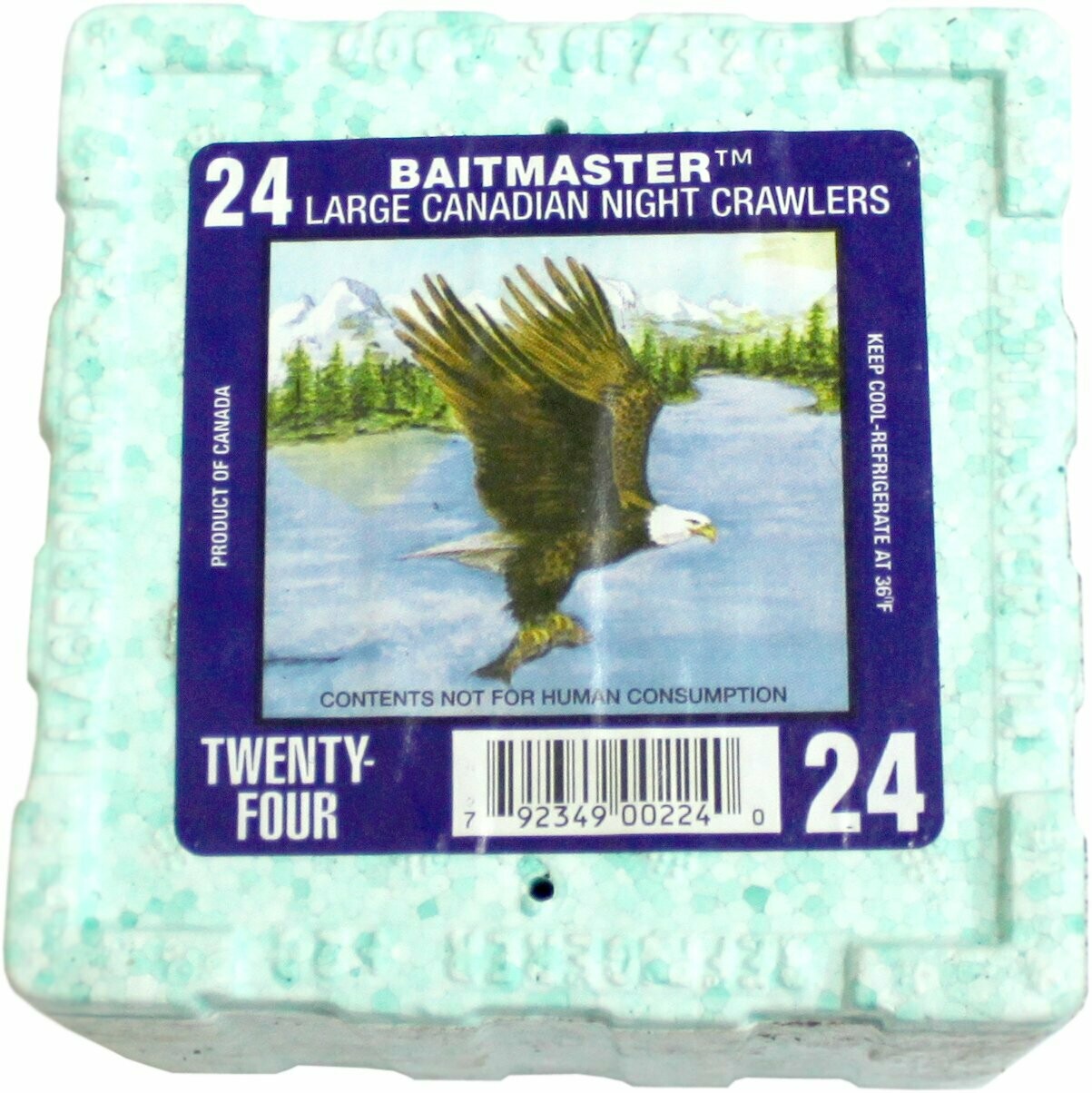 Tauwurm NBC Thermobox 24 Stück