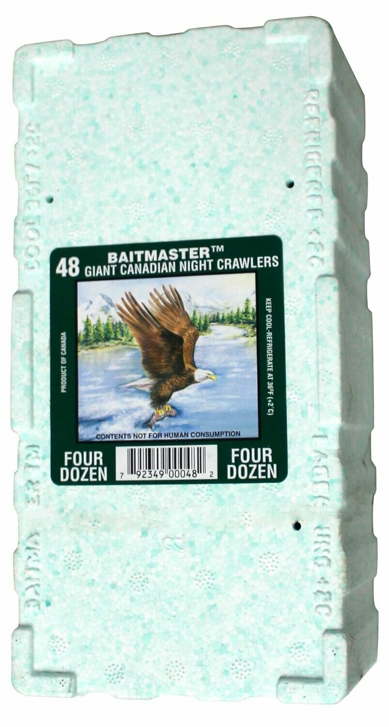 Tauwurm NBC Thermobox 48 Stück