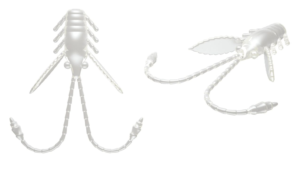 15 Stück Libra Lures Pro Nymph 004 Silver Pearl in 18mm (Cheese)