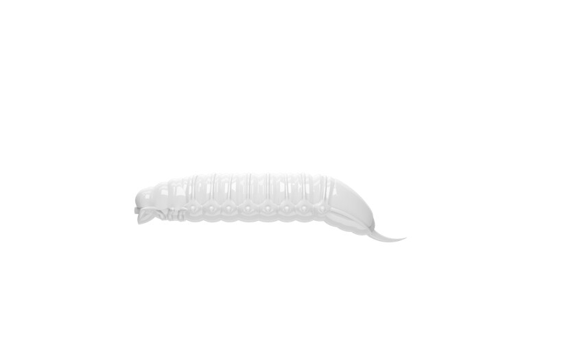 Goliath 30mm 001 White (Käse) Inhalt 15 Stück