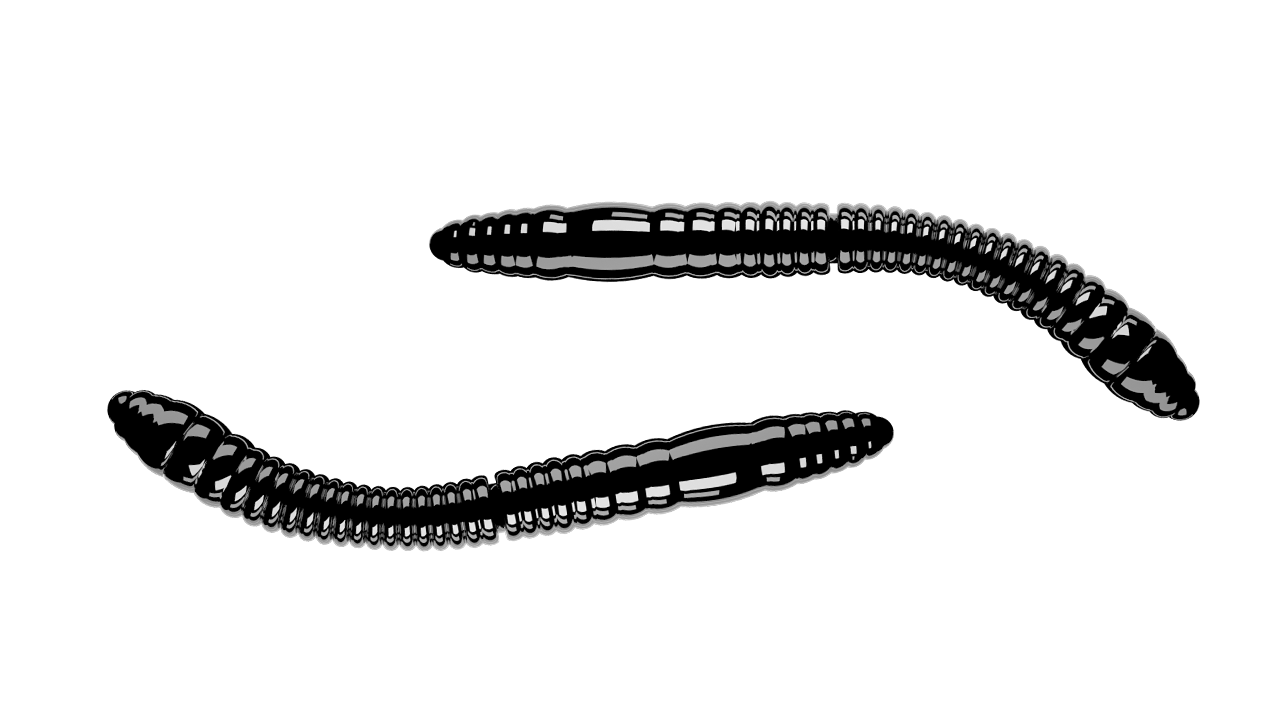 Fatty D Worm Tournament 040 Black (55mm) Cheese