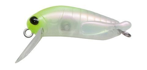 Elfin Mini Grasshopper 33SP #4 Aurora Chat