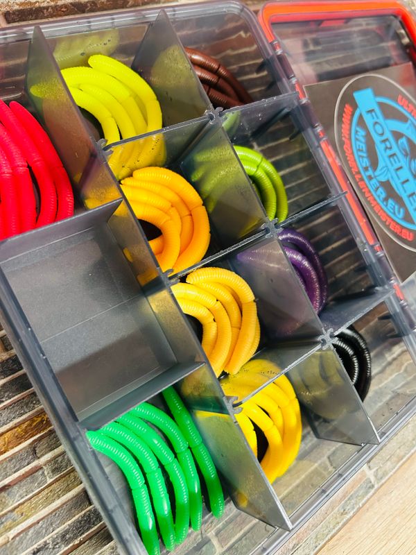 Libra Lures Set in Box mit Gummidichtung (50 Stück Libra Lures Fatty D Worm / Käse) Libra Lures Set in Box mit Gummidichtung (50 Stück Libra Lures Fatty D Worm / Käse)