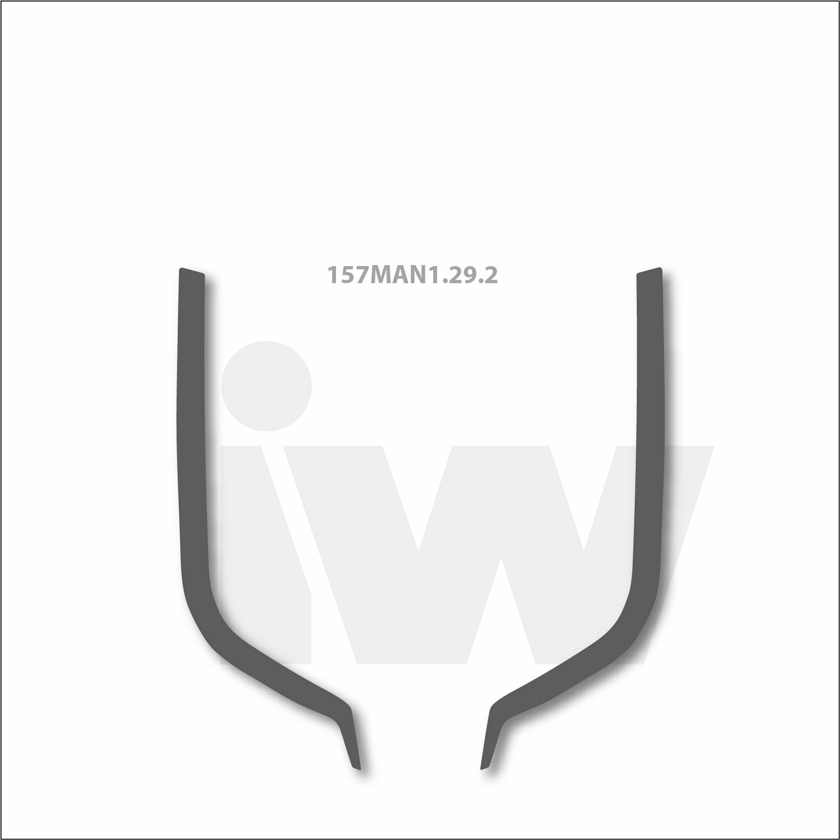 Edelstahlzierleiste MAN TGX