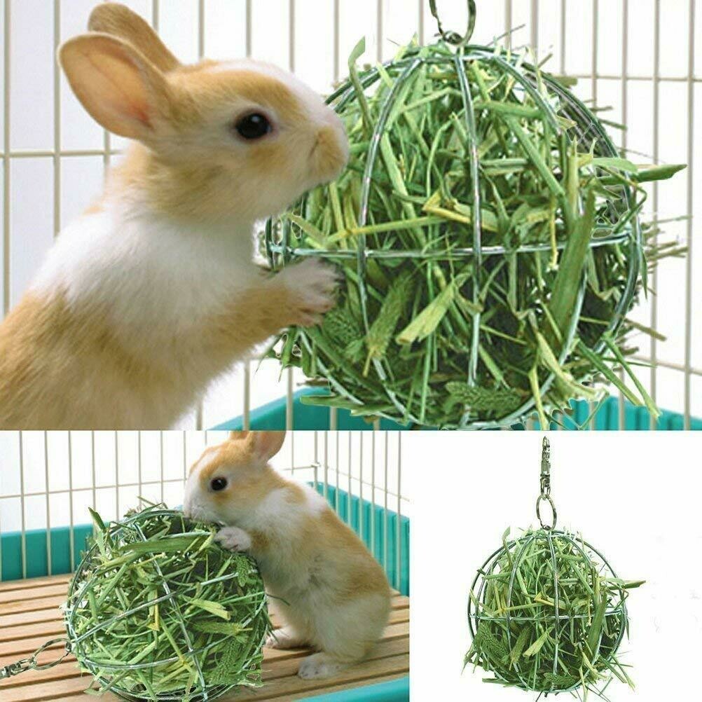 2 in 1 Hay Ball Feeder and Toy