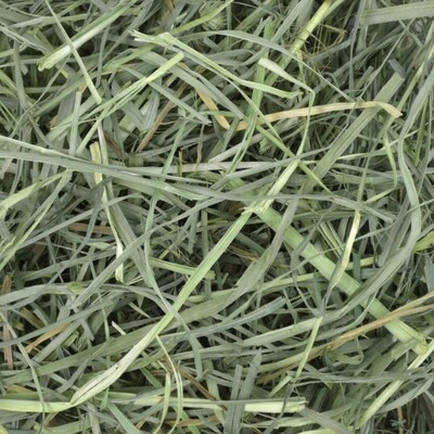 Oxbow Orchard Grass Hay 425g