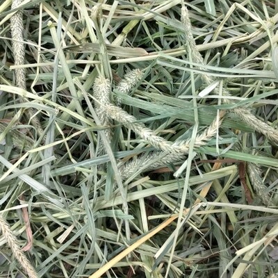 Oxbow Orchard / Timothy Blend Grass Hay 1.13kg