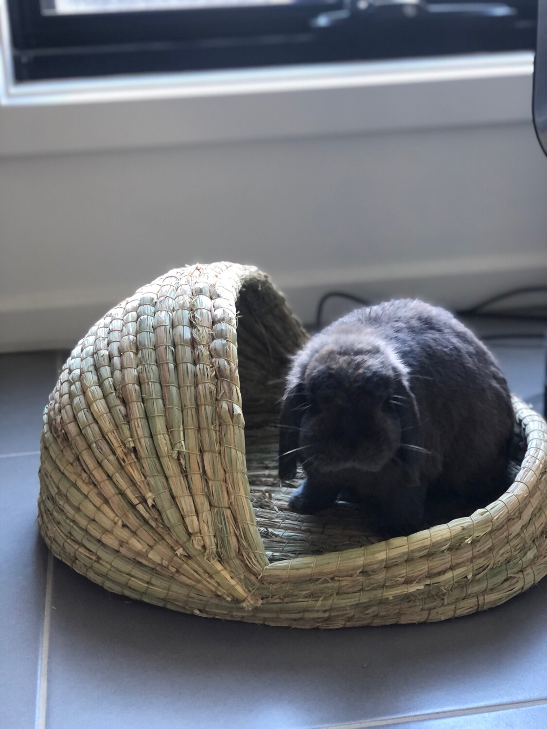 Corn Husk Bed 18×13x20cm