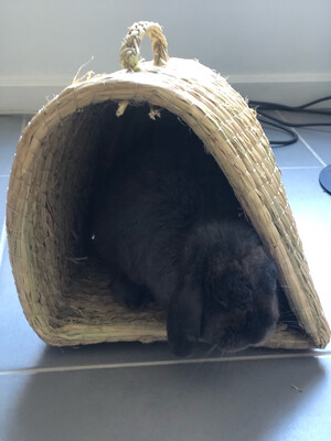 Corn husk hide house with handle 27×22×33cm