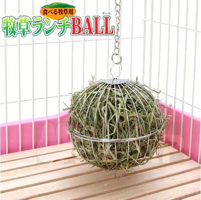 2 in 1 Hay Ball Feeder and Toy