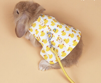 Outfit With Leash