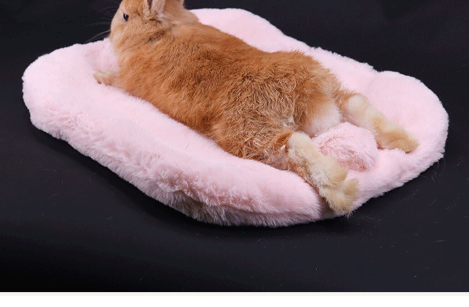 Cute Bunny Tail Relaxing Bed for small animal 2 sizes 3 colours
