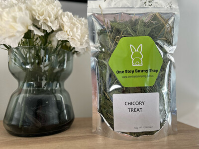 Crispy Chicory Leaves Treat (50g）