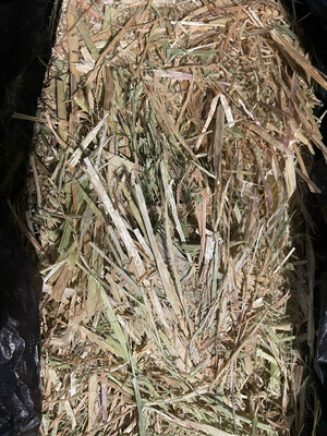 10kg Compressed Oaten Hay (less than 20%Green)