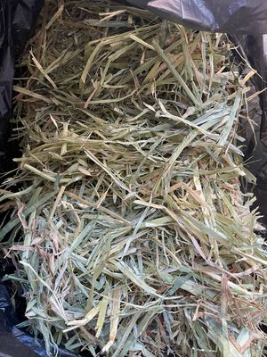 10kg Compressed Oaten Hay (less than 80%Green)