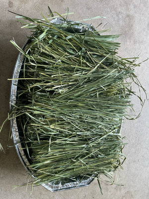 High Quality Timothy Hay (Short Cut) 1kg (ETA July)