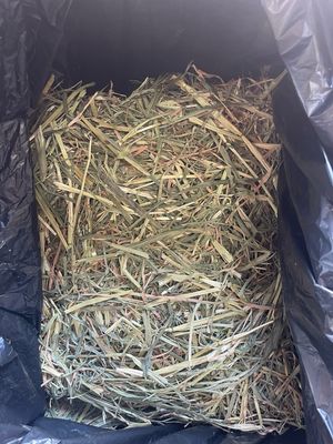 8kg Mini Bale Premium Oaten Hay