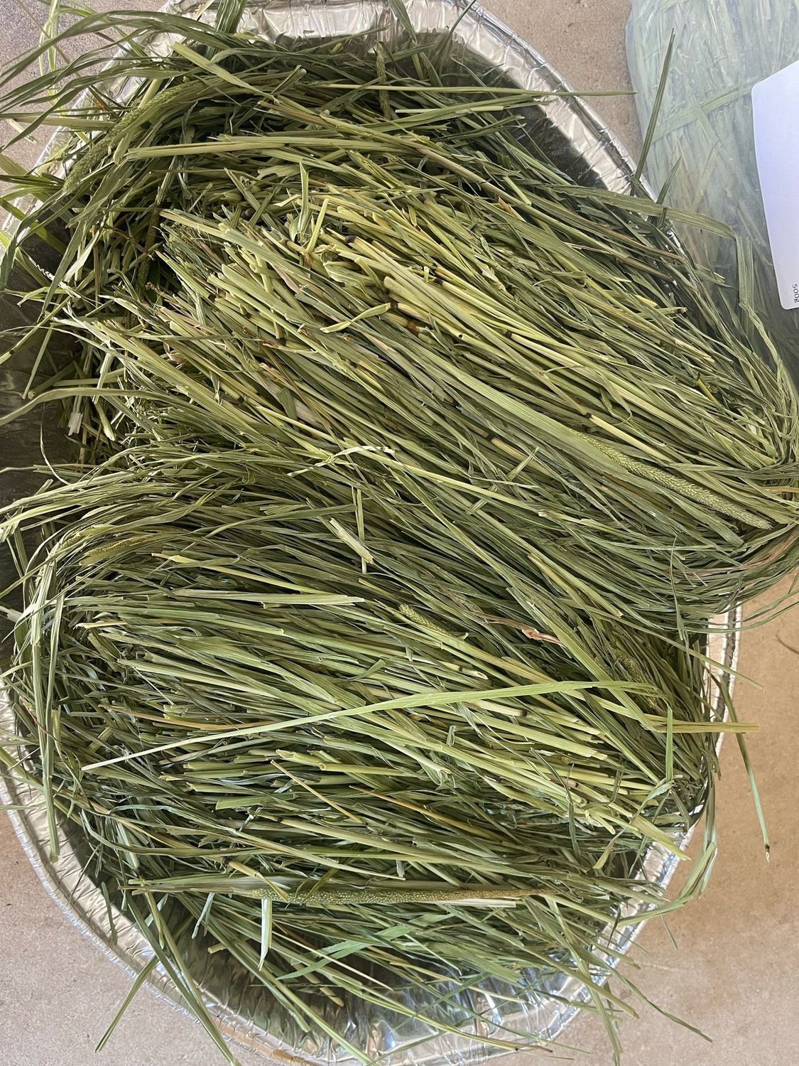High Quality Timothy Hay (Leafy) 1kg