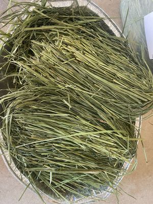 High Quality Timothy Hay (Leafy) 350g