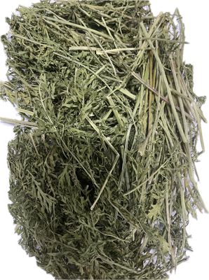 Carrot Tops Treat (50g）