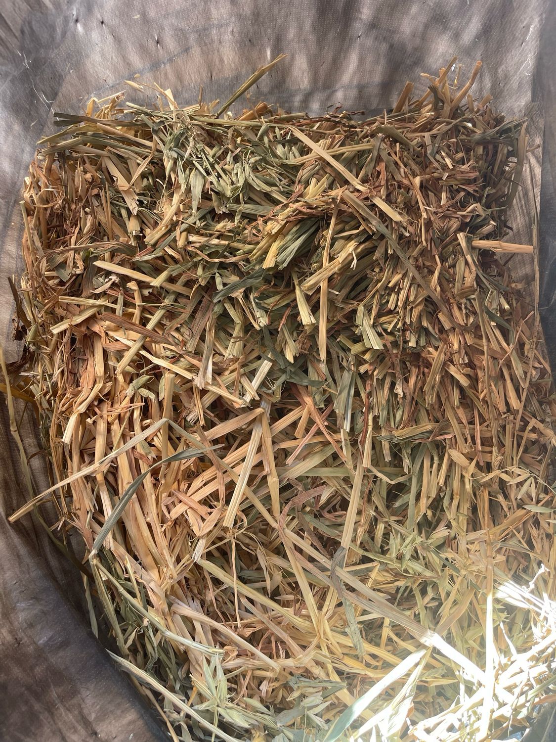 8kg Mini Bale Oaten Hay (less than 60% Green)