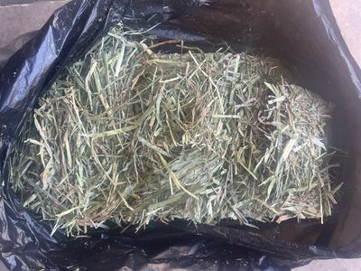 New batch 10kg Compressed Oaten Hay (less than 90% Green)