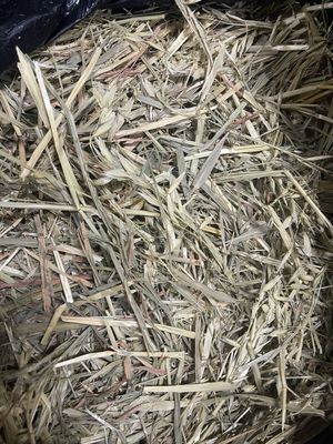 8kg Mini Bale Oaten Hay (less than 95% Green)