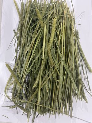 High Quality Timothy Hay (Leafy) 500g
