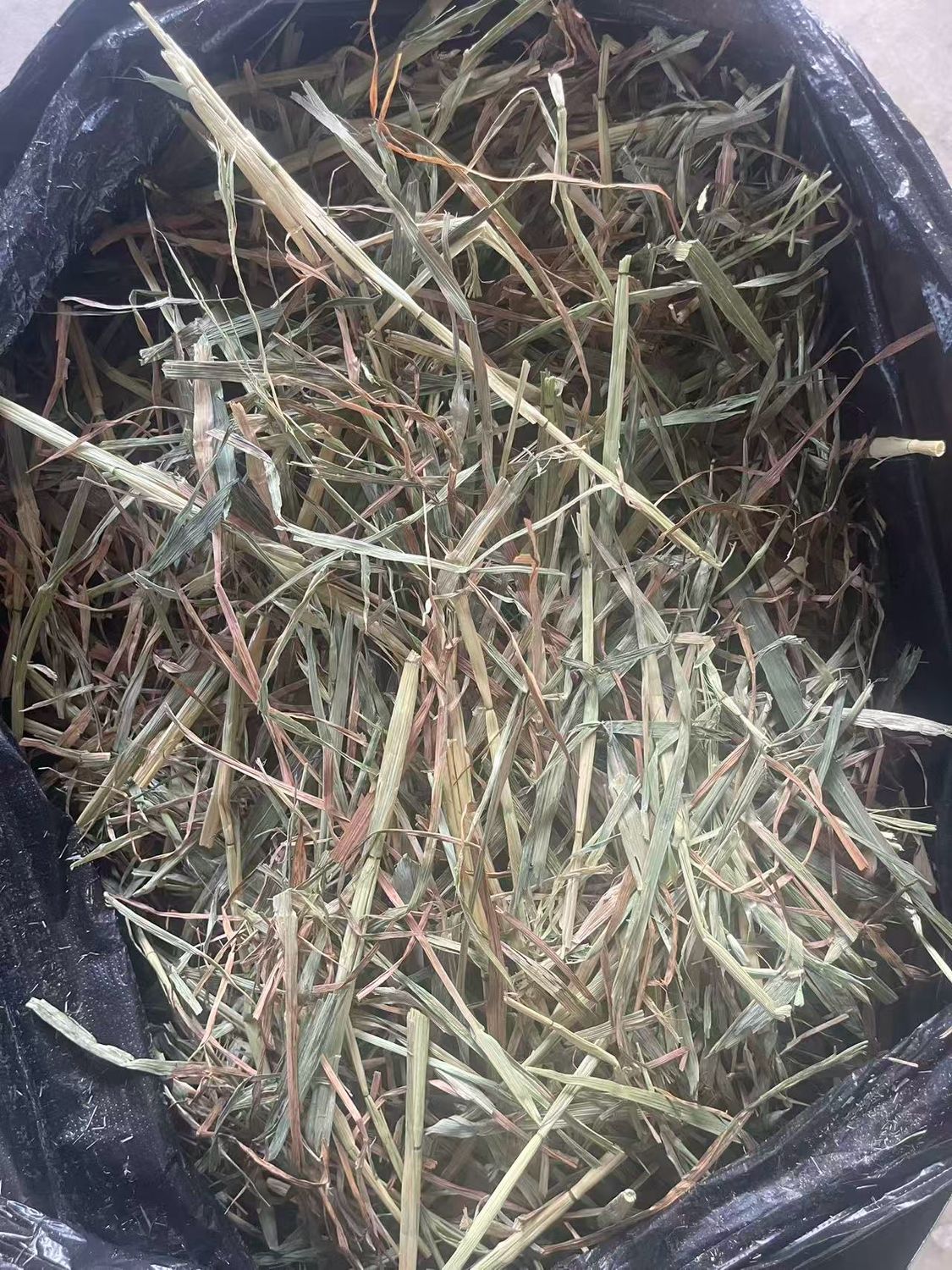 New Season 8kg Mini Bale Oaten Hay (less than 90% Green)