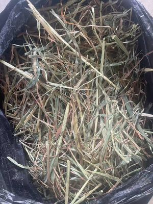 New Season 8kg Mini Bale Oaten Hay (less than 70% Green)