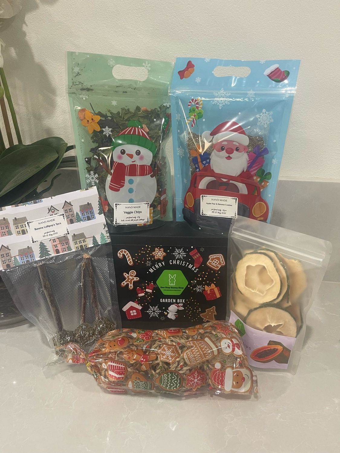 Christmas Garden Box