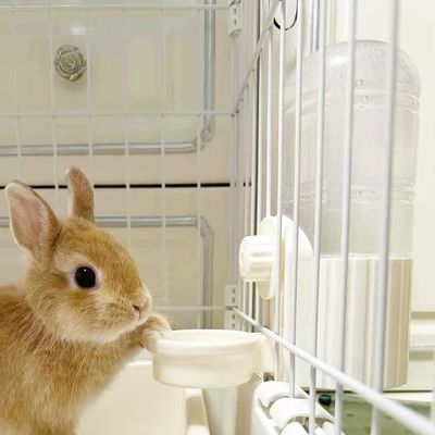 Water Bowl / Bottle Smart Design 700ml