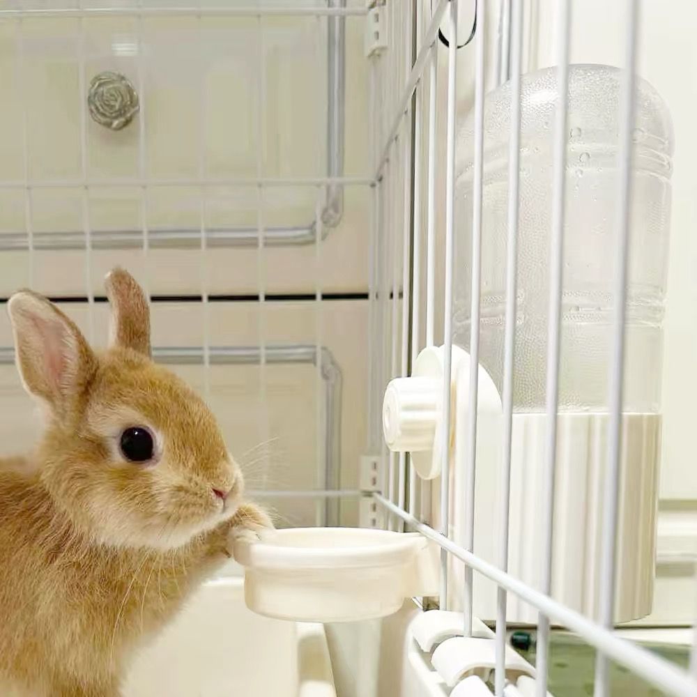 Water Bowl / Bottle Smart Design 700ml