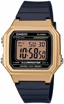 Часы Casio W-217HM-9A