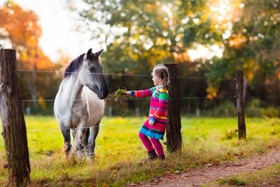 Pasture Horse Complete Care Package (Annual)