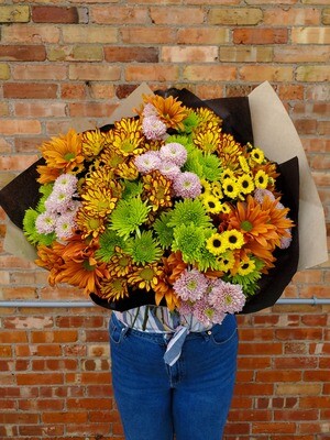 SPECIAL Giant Fall Mum Collection