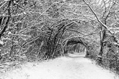 Snow