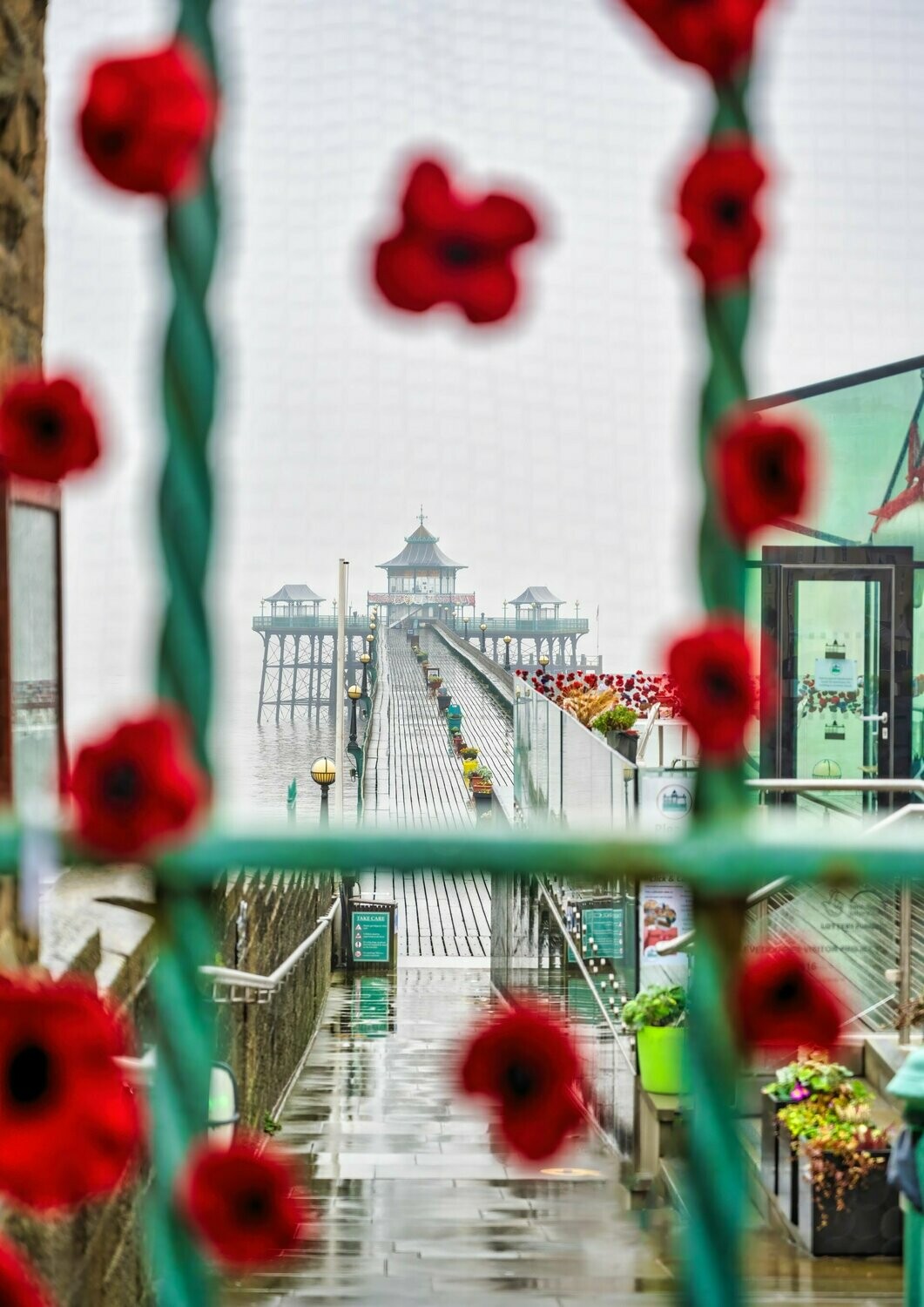 Poppies at the Pier - Available Options Below