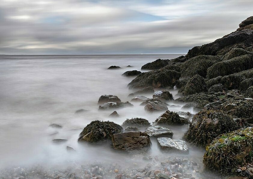 Seaweed covered Rocks - Available Options Below