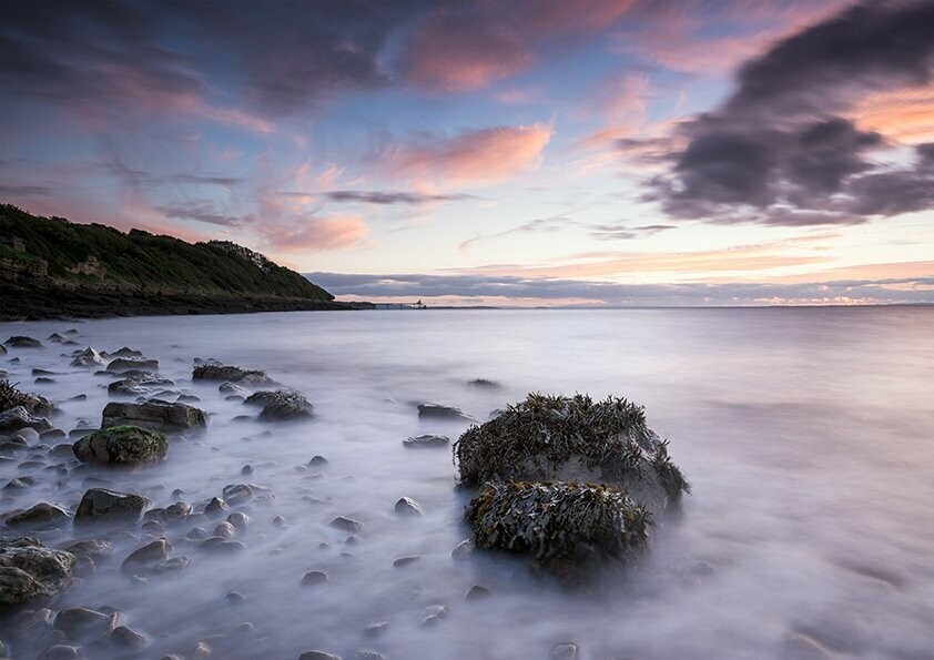Seaweed Rock - Available Options Below