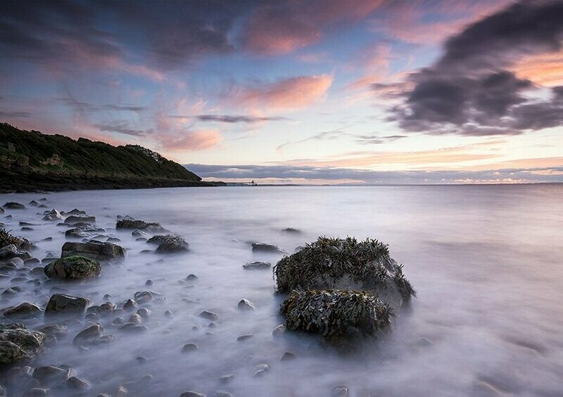 Seaweed Rock - Available Options Below